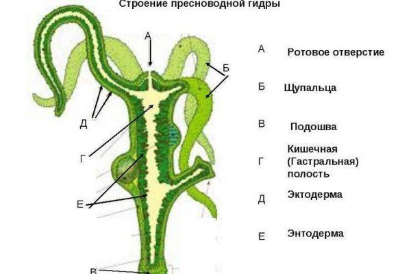 Kraken сайт