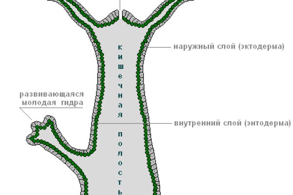 Не работает блэкспрут через тор сегодня