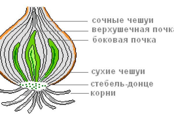 Kraken сайт cn