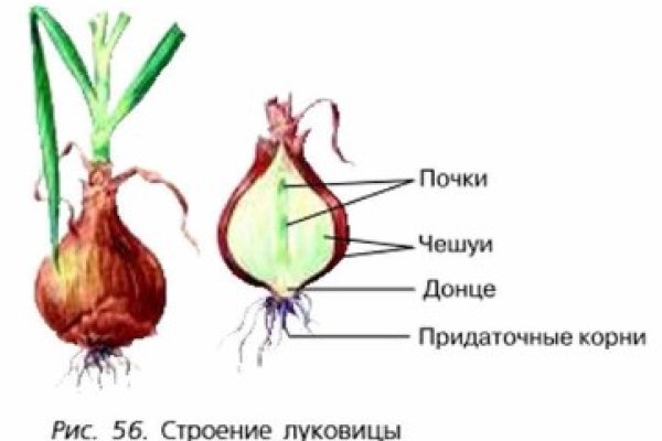 Мега tor